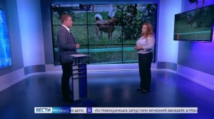 Без поводка теперь нельзя: Госдума приняла закон о самовыгуле собак и кошек