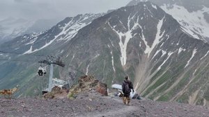 Разбили лисичке сердце😅