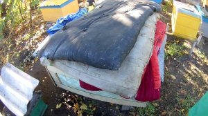 Как правильно утеплять улья