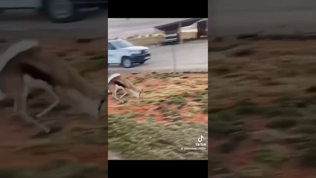 28 януари 2024 г. смотреть онлайн