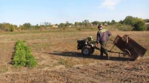 Вывоз навоза мотоблоком. Гаражные самоделки
