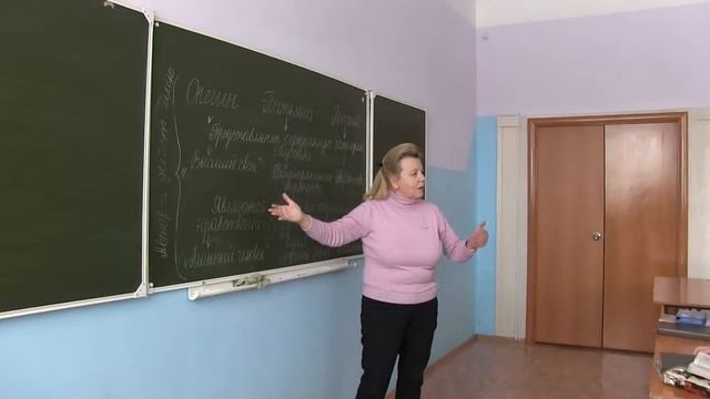 Видео урок литературы в 9 классе