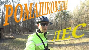 Поездка в Ромашковский Лес 2023