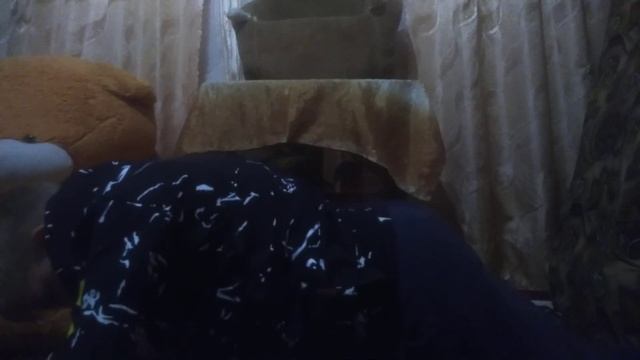 Школьник 12 лет сделал максимальное количество отжиманий смотреть онлайн