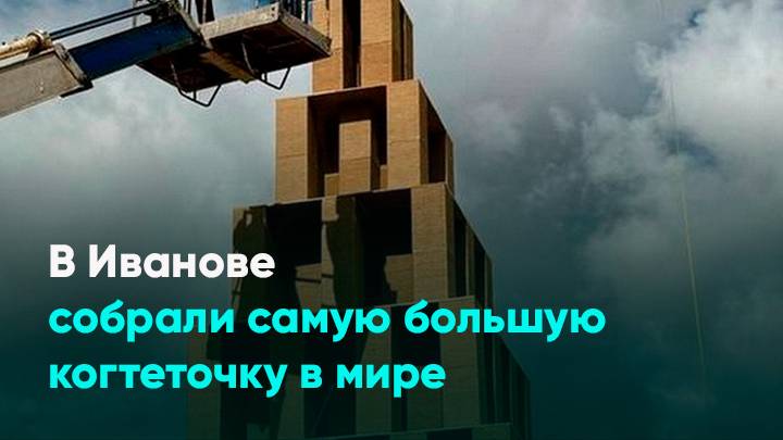 В Иванове собрали самую большую когтеточку в мире