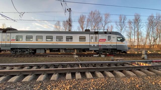 Graffiti Tags: Rasko Squeezers and Markers