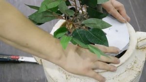 ИНТЕРЬЕРНОЕ  ДЕРЕВО С ВЕТОЧКАМИ ГЛИЦИНИИ, МК//ДЕКОР СВОИМИ РУКАМИ//ОБНОВЛЯЕМ ИНТЕРЬЕР