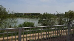 Река Кубань. В Краснодаре жара. Краснодар сегодня