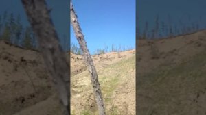 Батагайский провал. Июнь 2017.