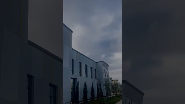 Завершили уборку после ремонта в ледовом дворце в городе Туркестан. смотреть онлайн