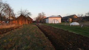 Ответы на коментарии по трехкорпусному плугу. Проба пахоты по целене