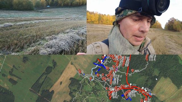 Лес 46 Крево Восток-3. 17 октября 2022 года. Вечер смотреть онлайн