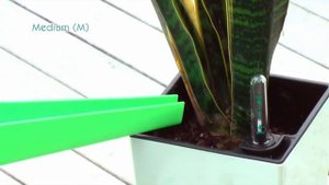 Кашпо с автополивом Green Sun / HydroSystem в кашпо с автополивом