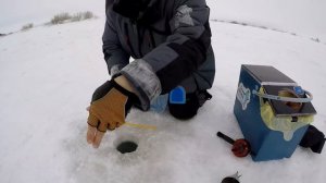 Рыбалка на ОКУНЯ! Как успешно ловить со льда весной