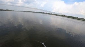 Карповая рыбалка с КОРАБЛИКОМ ? Трофейные КАРПЫ и АМУРЫ среди белого дня!  Fishing Video