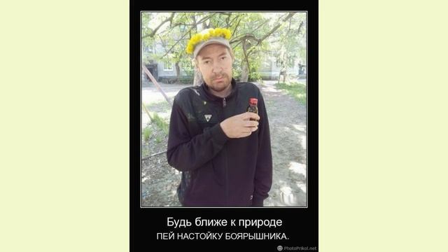 БОЯРЫШНИК
