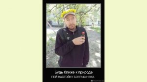 БОЯРЫШНИК