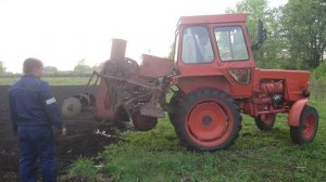 Т-25 Посадка картофеля самодельной картофелесажалкой