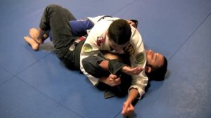 Caio Terra: Half-Guard Submissions