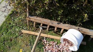ПРИСПОСОБА для посадки ЧЕСНОКА, если мало места на участке