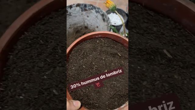 Cómo HACER El SUSTRATO IDEAL Para TUS PLANTAS! Preparar La TIERRA!