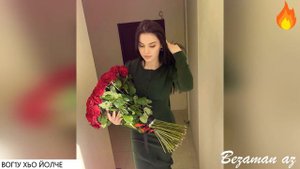 Вог1у Хьо Йолче😻
