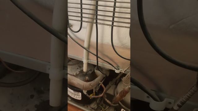 вонь на кухне из-за холодильника смотреть онлайн