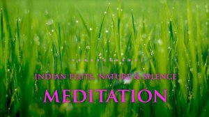 Short Meditation ★ Indian Flute, Nature & Silence