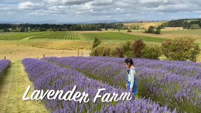 New Zealand Travel | Wairarapa | Lake Ferry | Lavender Farm | Immaculate Conception Statue смотреть онлайн