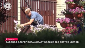 Садовод-блогер выращивает больше 200 сортов цветов