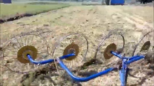 Ворушіння люцерни. Граблями сонечко. смотреть онлайн