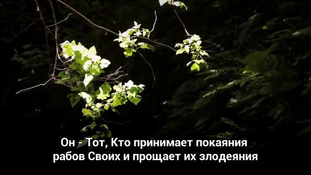 «Воздаянием за зло является равноценное зло» (42:40)