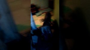 Самая страшная бойцовская собака в мире.  Вася бультерьер.