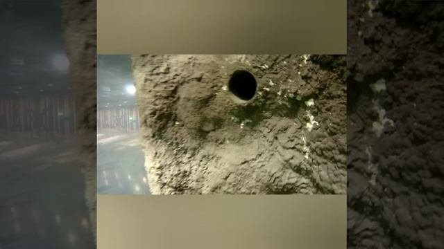 Океанариум на ВДНХ. Взгляд изнутри, большой пресный аквариум. Араваны, арапаймы, краснохвосые сомы.