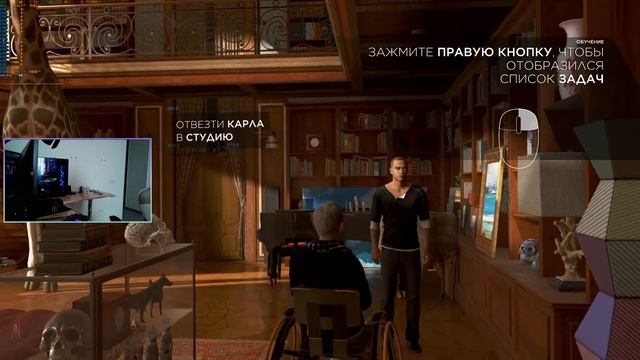 STREAM APEX LEGENDS смотреть онлайн