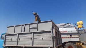 Уборка урожая 2022 начало