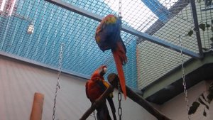 Московский зоопарк, часть 1 (старая территория). Moscow Zoo