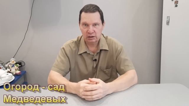 Важные подкормки овощей, которыми пренебрегают большинство огородников