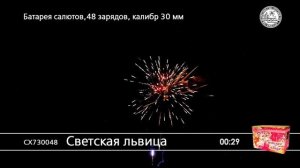 СХ730048 Светская львица