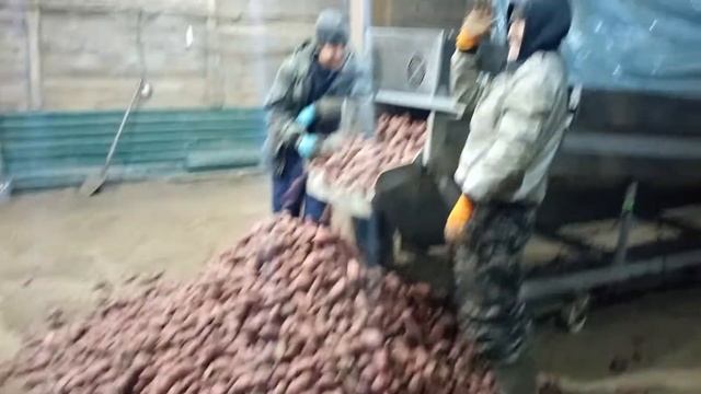 как надо чистить картошку смотреть онлайн