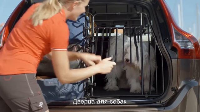 Решетка дверца смотреть онлайн