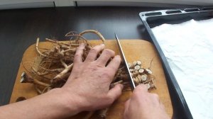 Корни одуванчиков заготавливаем на зиму. ?