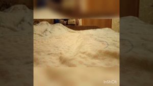 Клип. " Мы бежим с тобой как будто от гепарда"