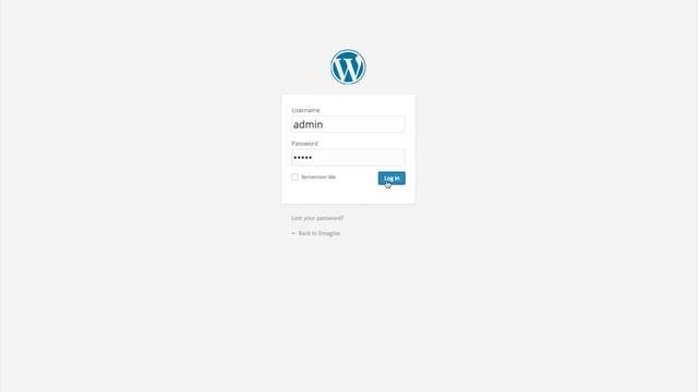 Reactive Graphics: WordPress web design developed just for you