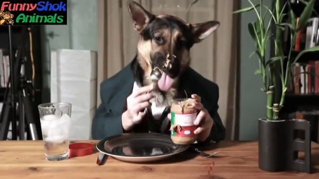 Смейся до слез! СУПЕР СМЕШНОЕ ВИДЕО