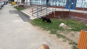 Махачкала-опасная или гостеприимная?Где поесть,выпить,жилье и городская среда