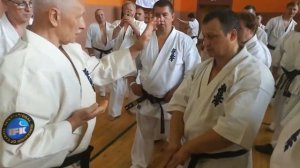 Шуто маваши укэ положение рук