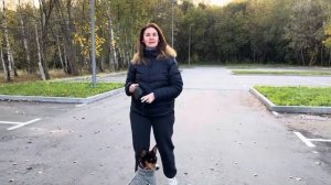 Вся правда, плюсы и минусы басенджи. Мои впечатления и советы по воспитанию собаки ?