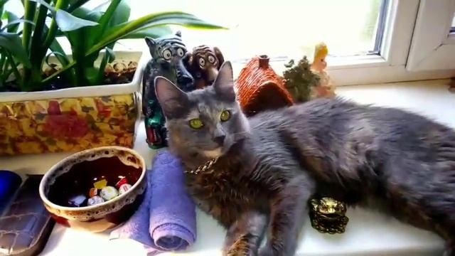 Машка меломанка???