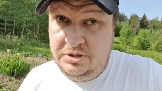 Чем снимать влог? Летнее тепло и дачный влог 2. Поля и огороды... смотреть онлайн